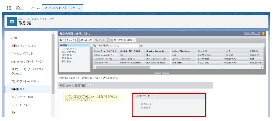 Salesforceの項目セットを用いたSOQL文によるレコード取得使用例 Salesforceの項目セットを用いたSOQL文によるレコード取得使用例